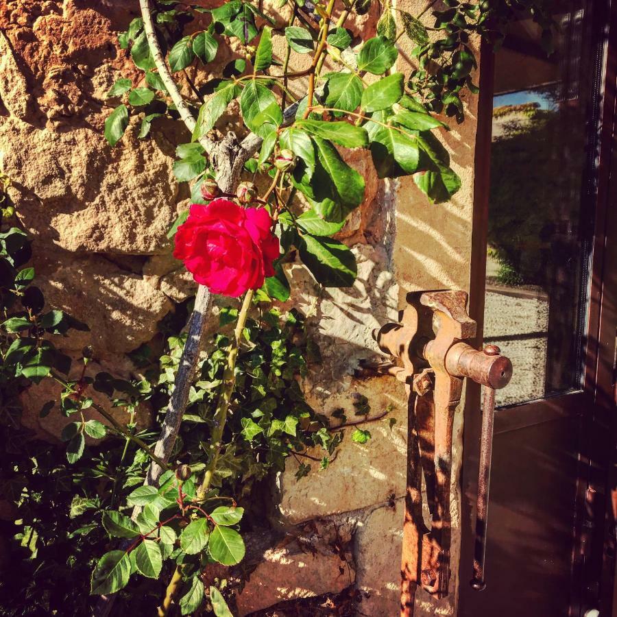 Le Clos D'Olea Oppede Luaran gambar